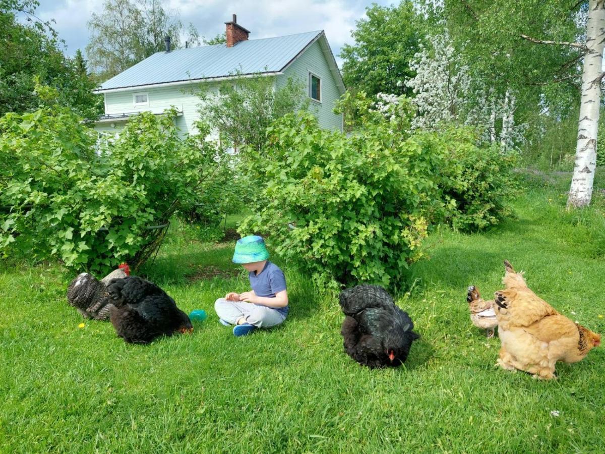 Kivirannan Tupa Villa Ylivieska Exterior foto